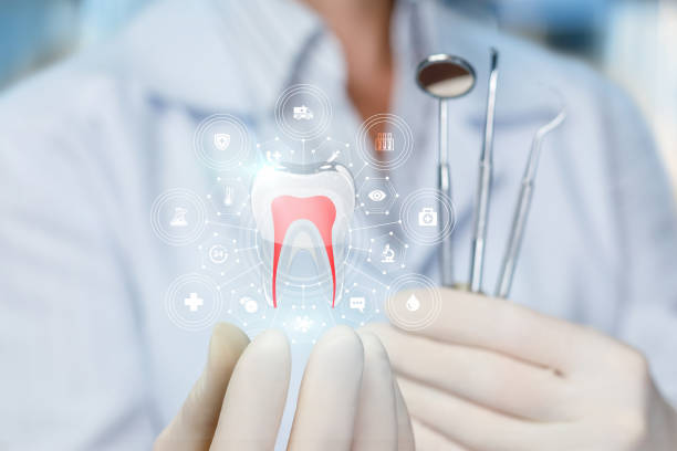 Best Dental X-Rays and Imaging  in Bradenton, FL